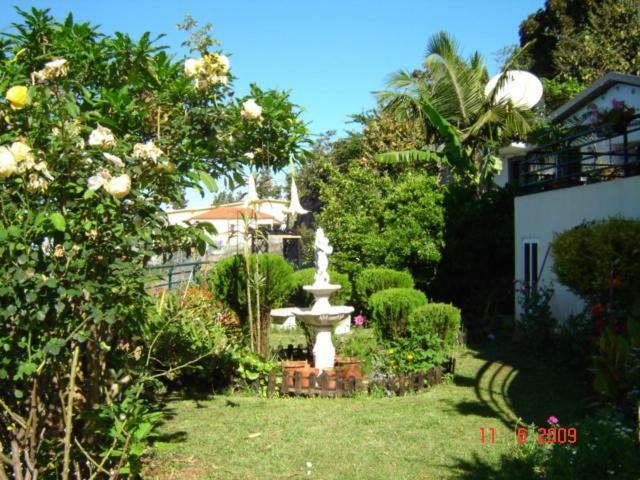 Apartamentos Jardim Funchal  Extérieur photo